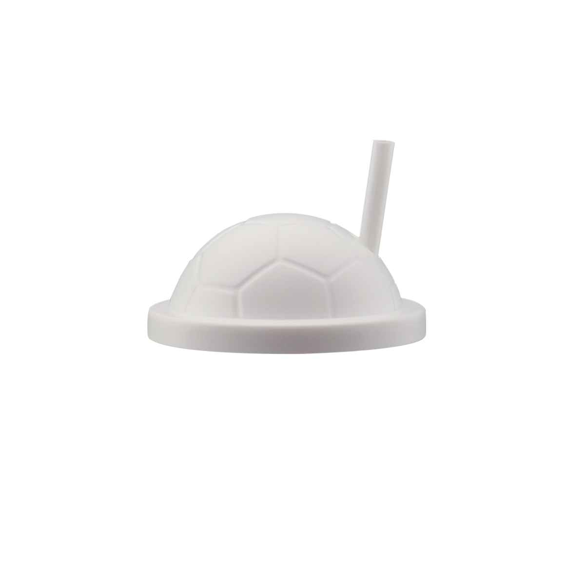 Tampa Soccer