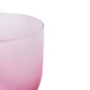 aça gin 600ml degradê